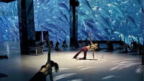 Personen machen Yoga umgeben Fisch-Projektionen