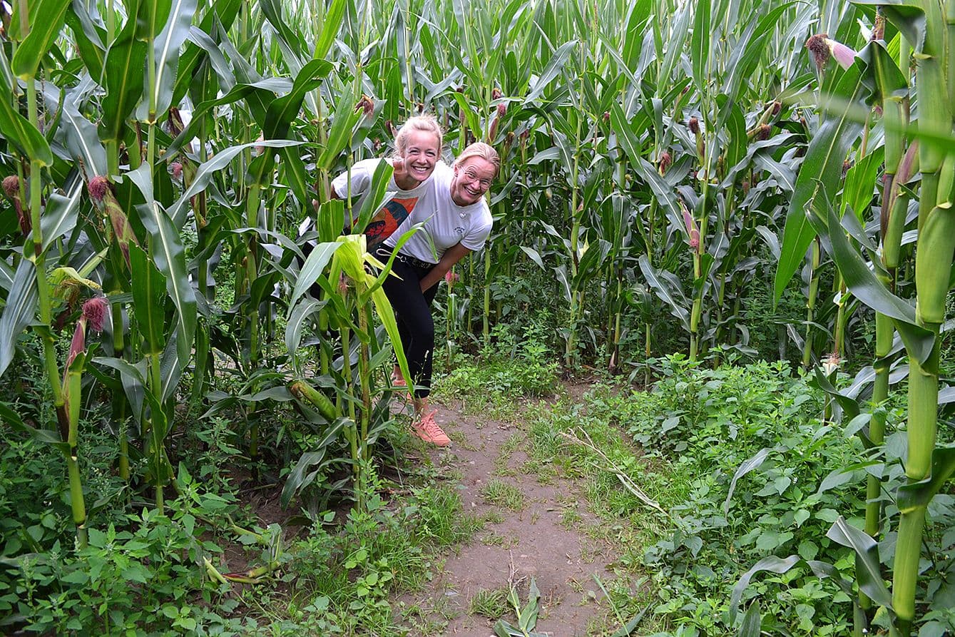 Zwei Frauen gucken im Maislabyrinth lächelnd um eine Ecke