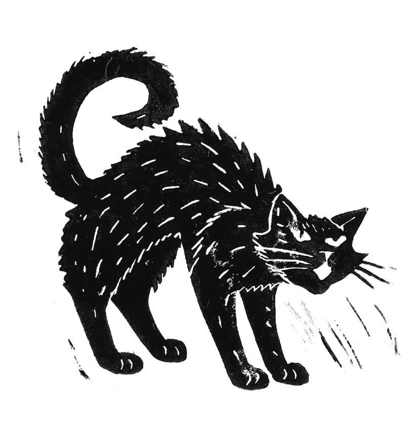 Linoldruck von einer Katze